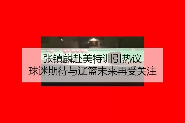 张镇麟赴美特训引热议 球迷期待与辽篮未来再受关注